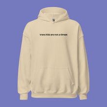 Load image into Gallery viewer, (PRE-ORDER) Embroidered Trans Kids Are Not a Threat Hoodie