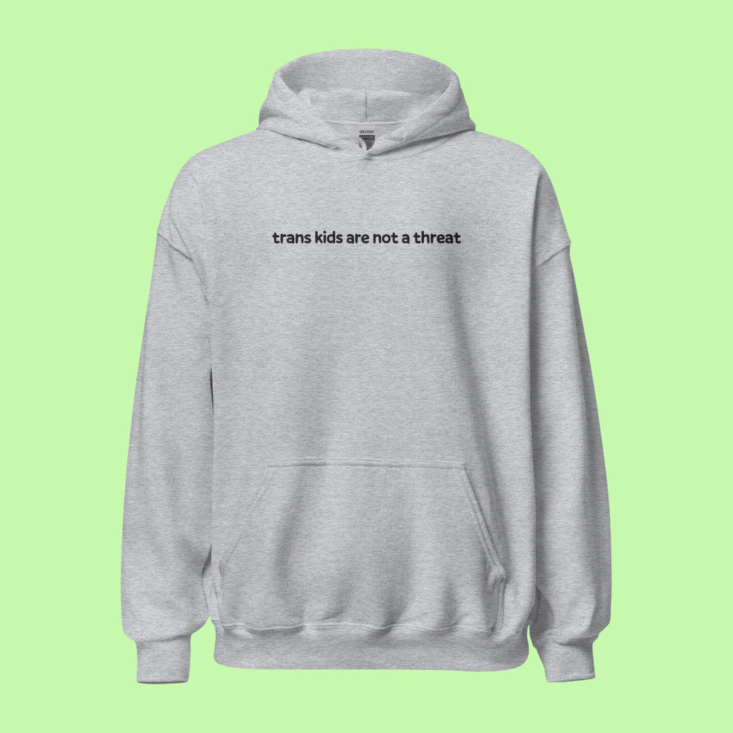 (PRE-ORDER) Embroidered Trans Kids Are Not a Threat Hoodie