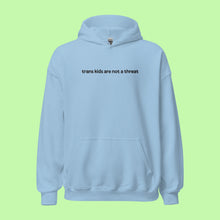 Load image into Gallery viewer, (PRE-ORDER) Embroidered Trans Kids Are Not a Threat Hoodie