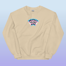Load image into Gallery viewer, PRE-ORDER: Protect Trans Kids Sweatshirt (DTG PRINTED)