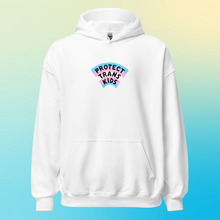 Load image into Gallery viewer, PRE-ORDER: Protect Trans Kids Hoodie (DTG PRINTED)