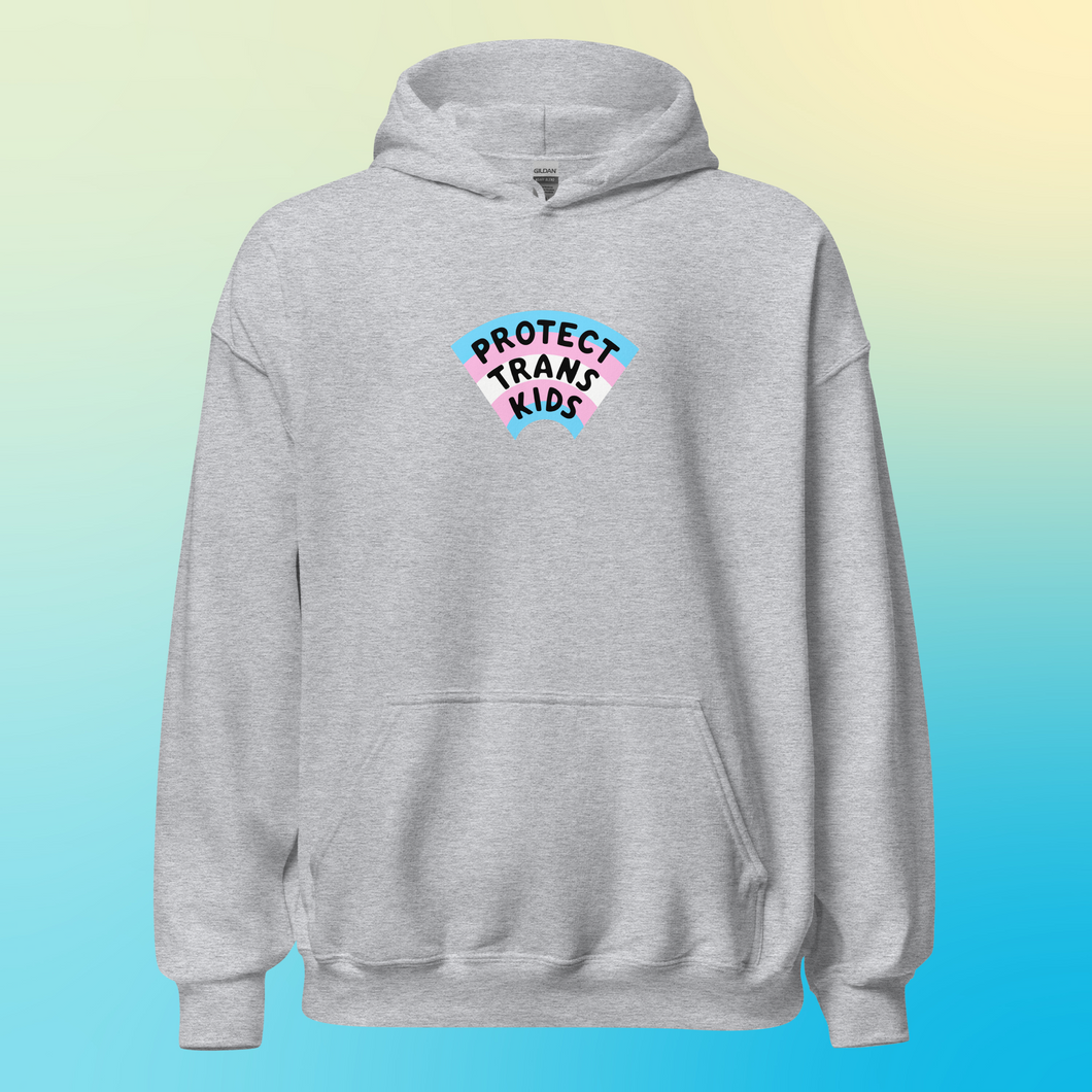 PRE-ORDER: Protect Trans Kids Hoodie (DTG PRINTED)